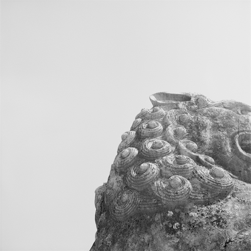 57_Stone_Head_石矶_2013.jpg